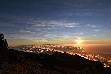 《古币推币机朋友3》登陆Steam 合作肉鸽元素